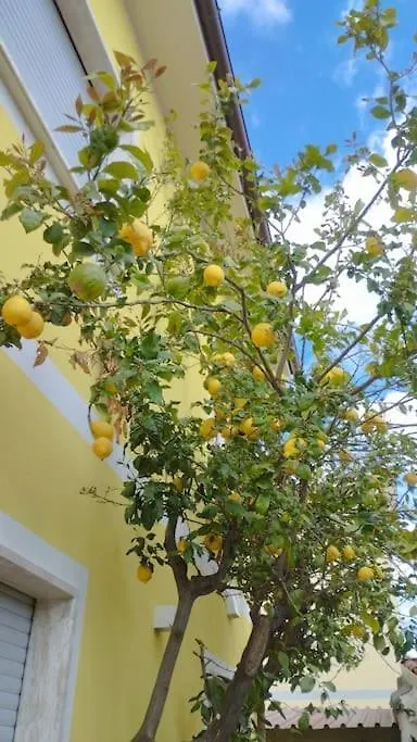 Appartamento Marta - Casa Vacanze La Limoncella Torre del Lago Puccini